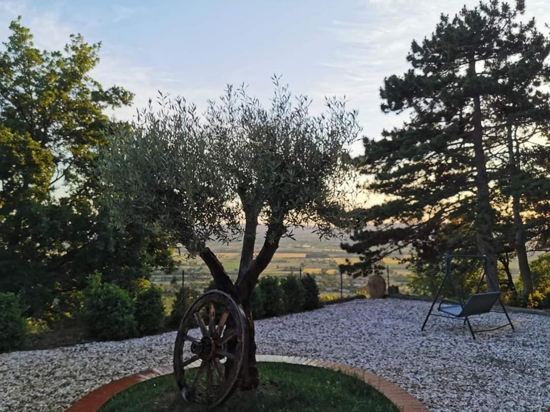 Casina Dei Sogni Villa Arezzo Exterior foto