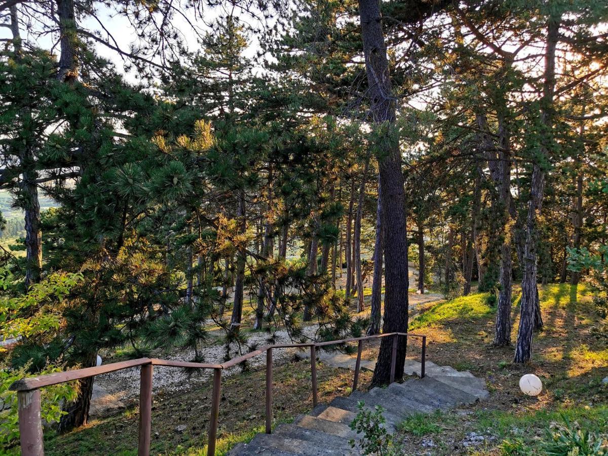 Casina Dei Sogni Villa Arezzo Exterior foto